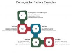 Demographic factors examples ppt powerpoint presentation slides icon cpb