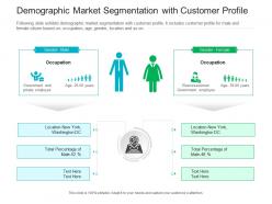 Demographic market segmentation with customer profile