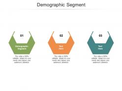Demographic segment ppt powerpoint presentation infographics tips cpb