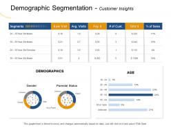 Demographic segmentation customer insights cust ppt powerpoint presentation show inspiration