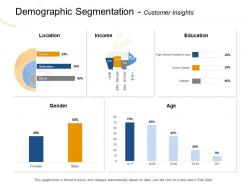 Demographic Segmentation Customer Insights Rural Ppt Powerpoint Presentation File Images