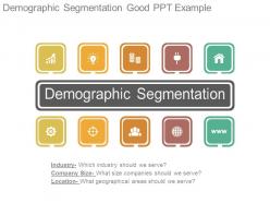Demographic segmentation good ppt example
