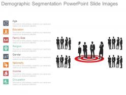 Demographic segmentation powerpoint slide images