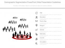 Demographic segmentation powerpoint slide presentation guidelines