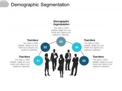 Demographic segmentation ppt powerpoint presentation file background image cpb