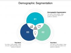 Demographic segmentation ppt powerpoint presentation file objects cpb