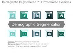Demographic segmentation ppt presentation examples