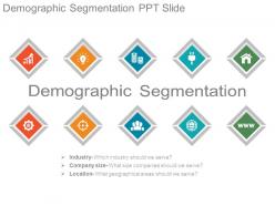 Demographic segmentation ppt slide