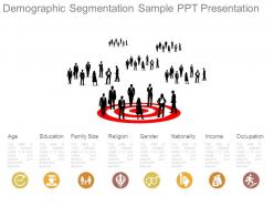 Demographic segmentation sample ppt presentation