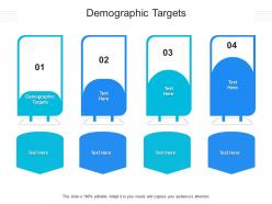 Demographic targets ppt powerpoint presentation ideas sample cpb