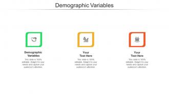 Demographic variables ppt powerpoint presentation slides portrait cpb