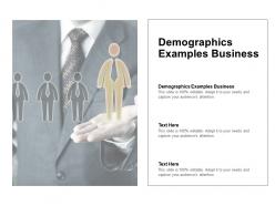 Demographics examples business ppt powerpoint presentation gallery samples cpb