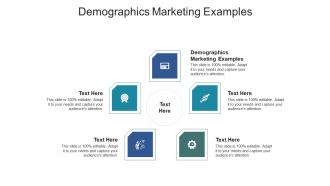Demographics marketing examples ppt powerpoint presentation slides smartart cpb