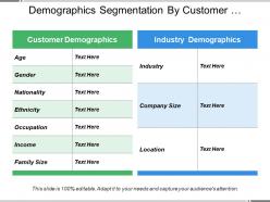 Demographics segmentation by customer preferences and industry size