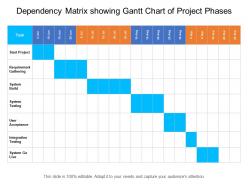 Dependency matrix showing gantt chart of project phases