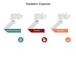 Depletion expense ppt powerpoint presentation ideas example cpb