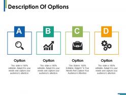 Description of options ppt infographics example introduction