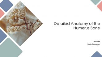 Detailed Anatomy Of The Humerus Bone PPT Information AT