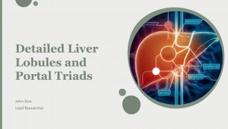 Detailed Liver Lobules And Portal Triads PPT Example AT