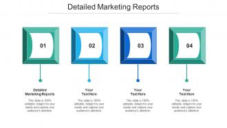 Detailed Marketing Reports Ppt Powerpoint Presentation Show Microsoft Cpb