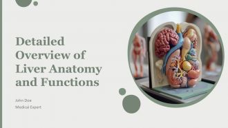 Detailed Overview Of Liver Anatomy And Functions PPT Outline AT