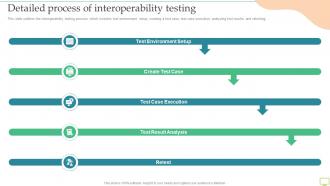 Detailed Process Of Interoperability Testing Ppt Icon Infographics