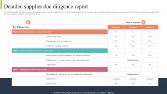 Detailed Supplier Due Diligence Report