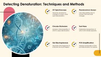 Detecting Denaturation Techniques And Methods DNA Denaturation PPT Outline ACP