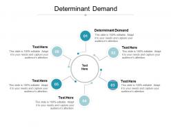 Determinant demand ppt powerpoint presentation infographic template icon cpb