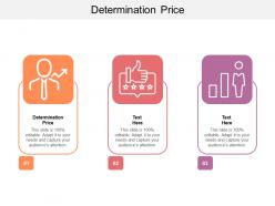 Determination price ppt powerpoint presentation ideas themes cpb