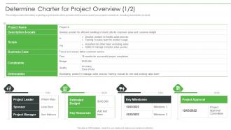 Determine Charter For Project Overview Scope Project Product Management Playbook