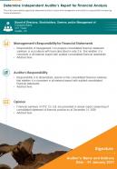 Determine Independent Auditors Report For Financial Analysis Presentation Report Infographic PPT PDF Document