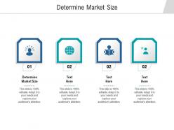 Determine market size ppt powerpoint presentation visual aids backgrounds cpb