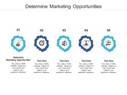 Determine marketing opportunities ppt powerpoint presentation slides structure cpb