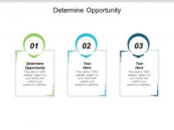 Determine opportunity ppt powerpoint presentation portfolio deck cpb
