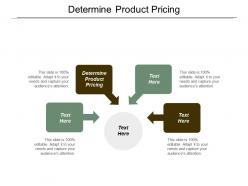 Determine product pricing ppt powerpoint presentation infographic template shapes cpb
