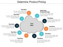Determine product pricing ppt powerpoint presentation show good cpb