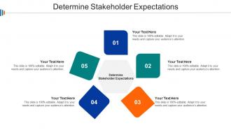 Determine Stakeholder Expectations Ppt Powerpoint Presentation Summary Shapes Cpb