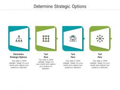 Determine strategic options ppt powerpoint presentation infographic template design inspiration cpb