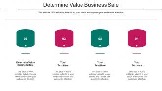 Determine Value Business Sale Ppt Powerpoint Presentation Outline Styles Cpb