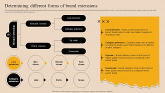 Determining Different Forms Of Brand Extensions Market Branding Strategy For New Product Launch Mky SS