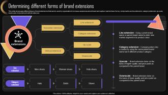 Determining Different Forms Of Brand Strategy For Increasing Company Presence MKT SS V