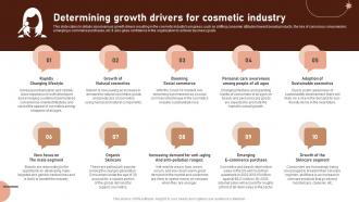 Determining Growth Drivers For Cosmetic Industry Beauty Business Plan BP SS