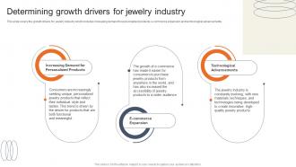 Determining Growth Drivers For Jewelry Accessories Business Plan BP SS
