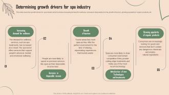 Determining Growth Drivers For Spa Industry Beauty Spa Business Plan BP SS