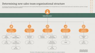 Determining New Sales Team Implementing Sales Risk Management Process