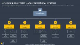 Determining New Sales Team Organizational Implementing Sales Risk Mitigation Planning