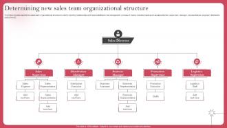 Determining New Sales Team Organizational Structure Deploying Sales Risk Management