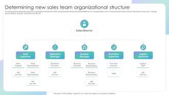 Determining New Sales Team Organizational Structure Evaluating Sales Risks To Improve Team Performance