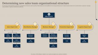 Determining New Sales Team Organizational Structure Executing Sales Risks Assessment To Boost